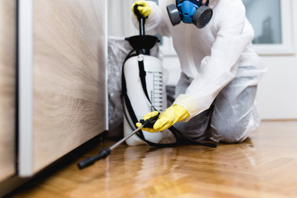 Best Flea Control Services  in Franklin, PA