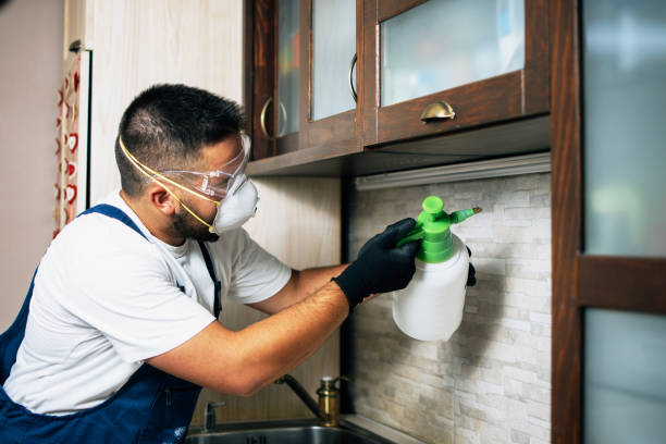 Best Best Pest Control Companies  in Franklin, PA