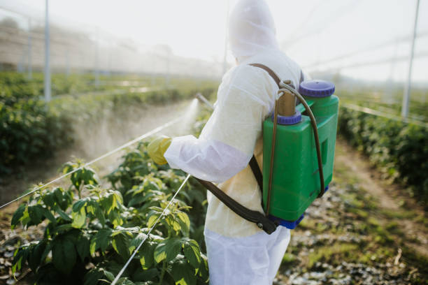 Reliable Franklin, PA Pest Control Solutions